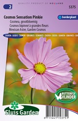Acheter Épandeur mélange de graines de Fleurs des Champs ÉTÉ - Maxi Pack  Sluis Garden? Commander des graines sur